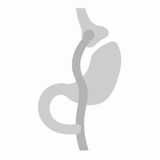 Roux-en-Y gastric bypass icon 512x512